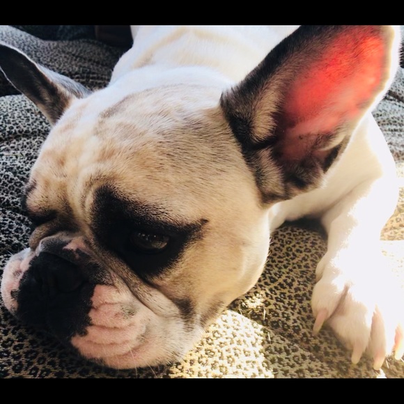 Meet your Posher, Debra - Picture 1 of 1